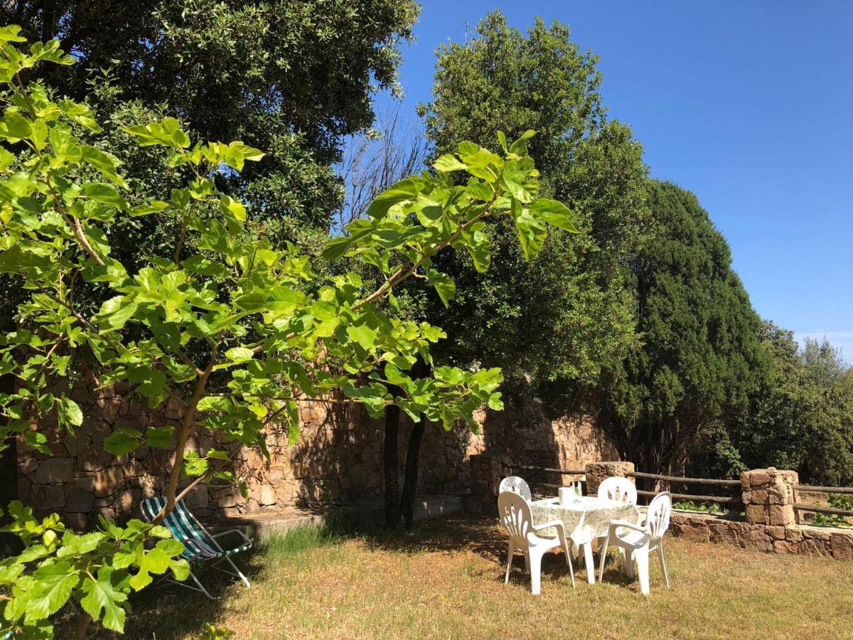 SaMurtaBianca 1 Pula Bagian luar foto